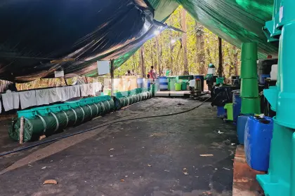Siete aprehendidos tras operativo antidrogas en el trópico de Cochabamba