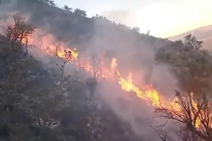 Los fuertes vientos no permiten controlar el incendio en la serranía de Tolata, el fuego continúa avanzando