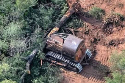Desde el sector productivo se plantean la “autodefensa” contra avasallamientos ante la “ausencia de justicia”