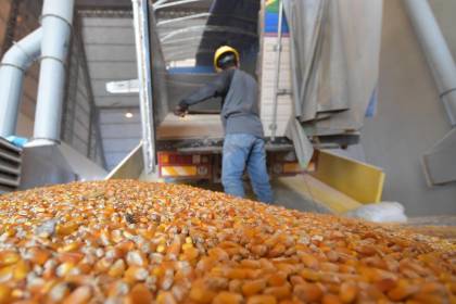 “Emapa nació en números rojos y nunca cumplió su función”: Productores advierten abandono al sector