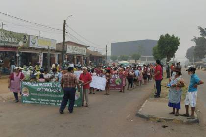 Marcha recorre las calles de Concepción en protesta por los incendios forestales 