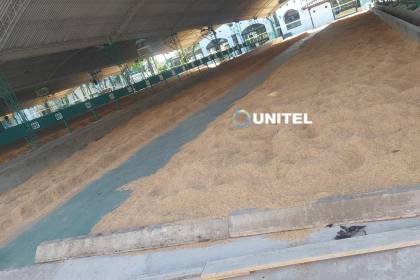 Este miércoles se inicia el ingreso de ganado al campo ferial a 10 días de Expocruz