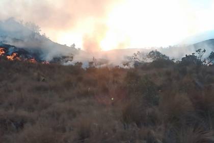 Falta de diésel complica a sectores y la lucha contra incendios; surgen críticas al descargo del Gobierno