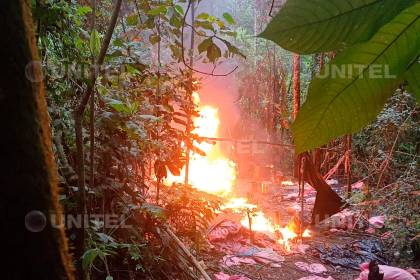 Incineran 46 fábricas de droga y aprehenden a 11 personas en operativos en el trópico