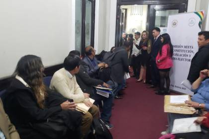 Periodistas, una exdiputada, dos vocales departamentales y un funcionario edil entre los postulantes al TSE