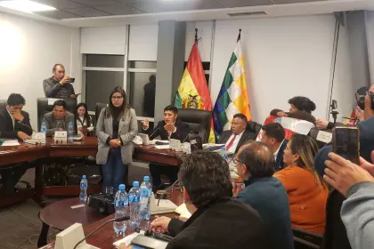 Comisión de Diputados entra en cuarto intermedio, sin fecha ni hora, para tratar el contrato de litio con empresa rusa