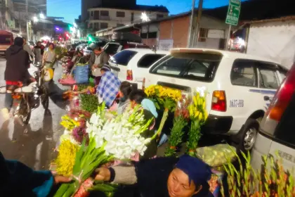 El 27 de mayo “no será de alegría, sino de tristeza”, señalan floricultores de Cochabamba por los bloqueos
