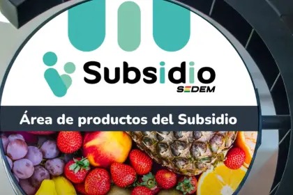 Subsidio 2026: Se eliminan algunos productos y se incorporan otros, conoce la nueva lista 