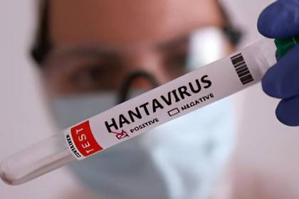 Sedes Tarija confirma cuatro casos de hantavirus en zonas fronterizas con Argentina