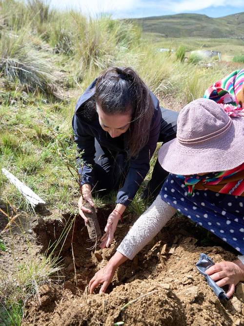 Cuenca Taquiña: un año sembrando futuro