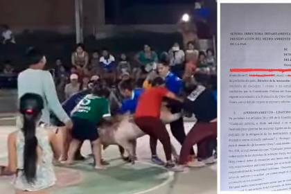 Presentan denuncia por maltrato animal contra autores del “cuchigol”, según activistas