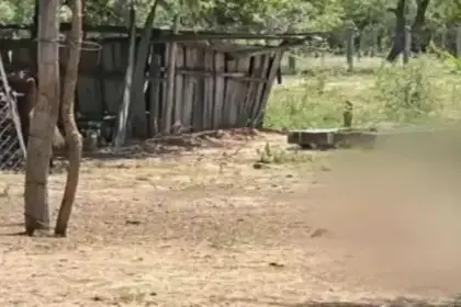 Triple asesinato en Charagua: Autor del crimen confiesa su participación, señala que fue por una discusión por el sueldo