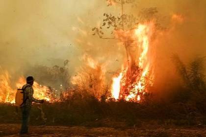 El 66 % de los incendios forestales en Bolivia fueron “malintencionados”, según estudio