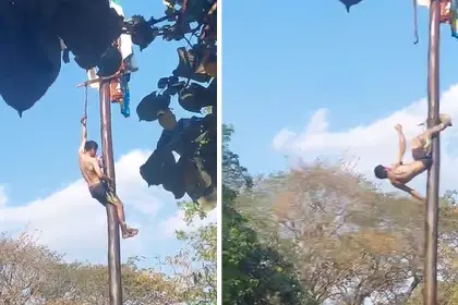 Hombre resulta herido tras caer al suelo mientras participaba en un juego de ‘palo encebao’