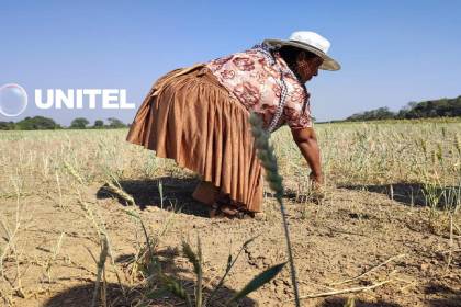 Hace 100 días no llueve en Cuatro Cañadas y la sequía golpea cultivos de trigo y maíz