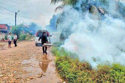 Cochabamba y Santa Cruz concentran los contagios de chikungunya del país