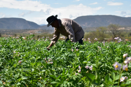 Tras informe, ONU señala que Bolivia no figura en los países con riesgo de hambruna