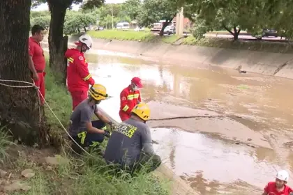 Hallan a un hombre muerto en un canal de drenaje en Santa Cruz