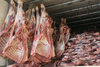 Economista Chávez: Suspensión de la exportación de carne es una medida policiaca de control de la inflación