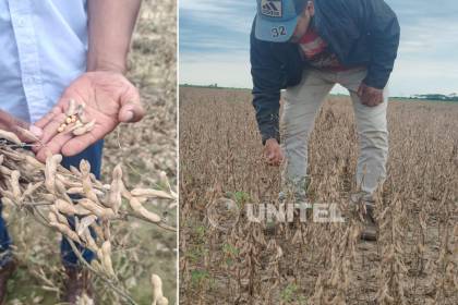 “Hace 12 días que no llega combustible”: productores del norte cruceño advierten que la soya está a punto de perderse