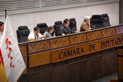 Diputados aprueba en grande el proyecto de ley de Estados de excepción y abre el debate en detalle