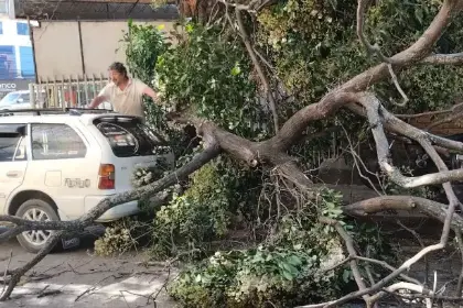¡Precaución! Rige alerta roja en Santa Cruz por fuertes ráfagas de hasta 120 km/hora