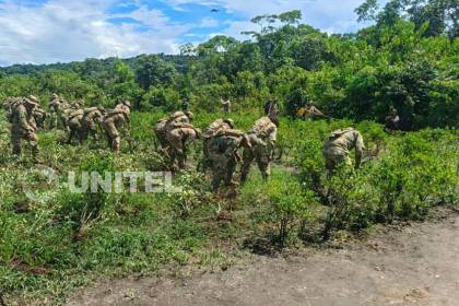 Impulsan el control de plantaciones de coca en el trópico de Cochabamba