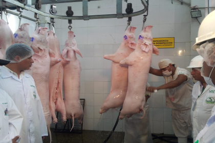 Bolivia apunta a exportar carne de cerdo y de pollo al mercado chino