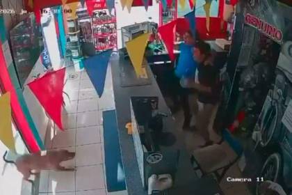 Momento divertido: hasta un perro celebró la victoria de Ecuador ante Alemania