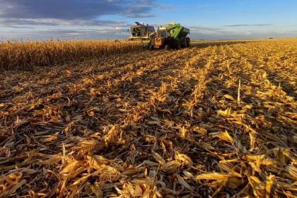 Anapo advierte que la cosecha de soya de invierno bajará en 300.000 toneladas