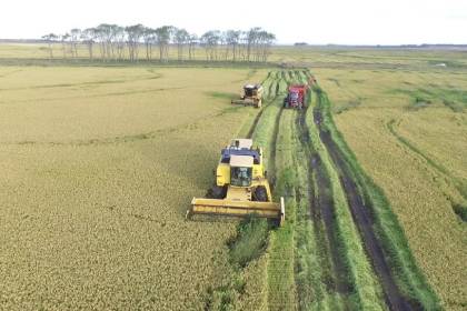 Falta de diésel amenaza al 70% de la cosecha de arroz y el sector pide una solución urgente 