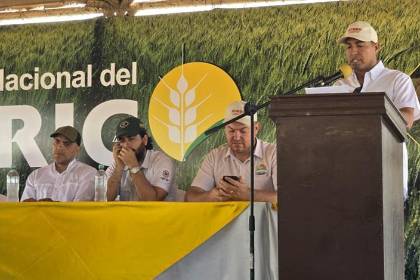 Ante el déficit de trigo, agro propone al Gobierno una agenda de cuatro pilares para apuntalar la producción