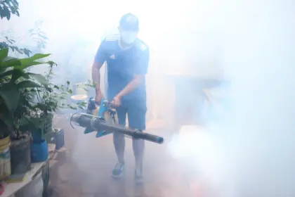 Santa Cruz: Sedes confirma la sexta muerte por chikungunya y tercera por influenza