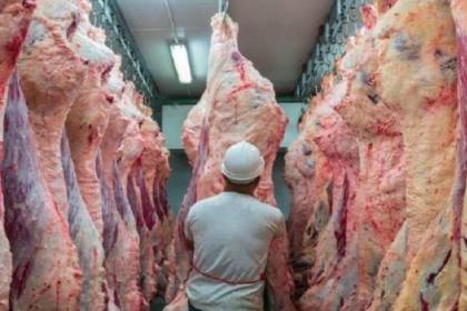Ganaderos temen no cumplir los contratos de exportación ante la afectación por bloqueos