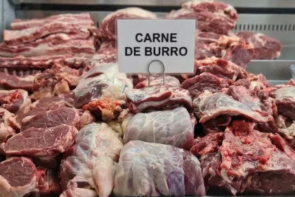 ¿La carne de burro es apta para el consumo humano?, esto responde un especialista 
