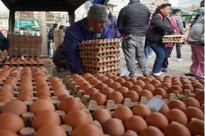 Santa Cruz produce el 60% de los 2.700 millones de huevos que se dan cada año en Bolivia, según ADA