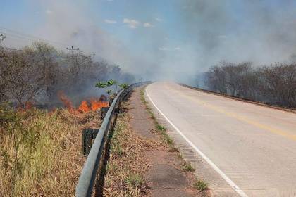 Santa Cruz registra dos incendios activos bajo monitoreo y 347 focos de calor