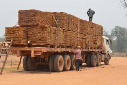 Exportaciones forestales caen por debajo de los niveles de la pandemia y el sector advierte una crisis histórica