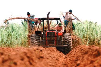 ¿Mejora en el suministro? Agro cruceño aguarda 72 millones de litros de diésel para julio