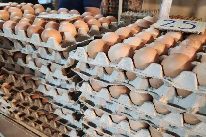 Pese a leve descenso, precio del queso y el huevo sigue alto en comparación con el año pasado