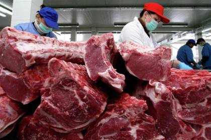 Bolivia y El Salvador apuntan a impulsar comercio de carne, genética y productos agrícolas