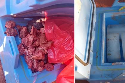“Reemplazaron las vacunas con carne”: Denuncian a dos trabajadores que llevaban dosis contra el sarampión