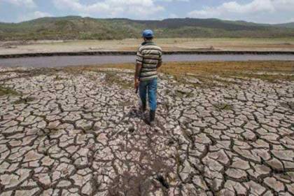 Siete municipios se declaran en desastre por la falta de agua en Potosí, según la Gobernación