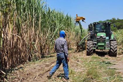 El exceso de humedad en el suelo retrasa la zafra cañera, según Concabol