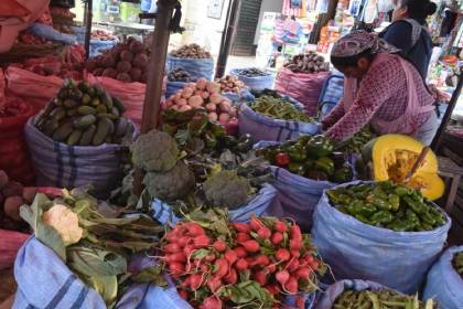 INE: Inflación acumulada llega a 4,82% al primer semestre; junio fue el mes con mayor subida de precios