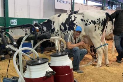 Arrancan las actividades pecuarias en Expocruz: Este domingo se conocerá al toro más pesado de la feria