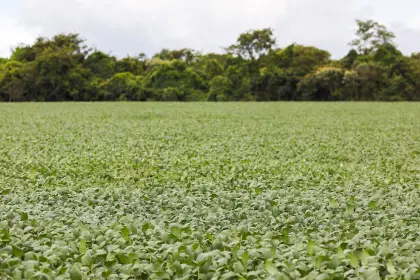 Tras reunión, intercultural de Concepción dice que el Gobierno garantizó la exportación de soya por lo que se levanta advertencia de bloqueos