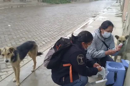 Arranca la vacunación contra la rabia con la meta de llegar a 3 millones de mascotas