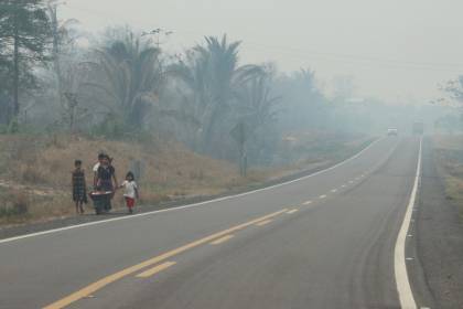 Comité pro Santa Cruz pide enjuiciar a interculturales y avasalladores por incendios forestales