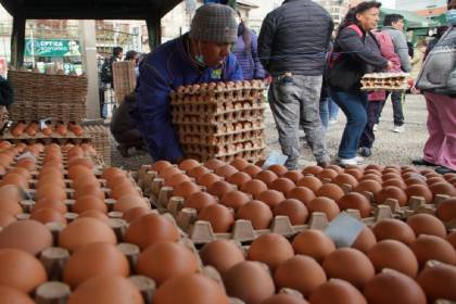 Día Mundial del Huevo: Santa Cruz lidera la producción, seguido de Cochabamba